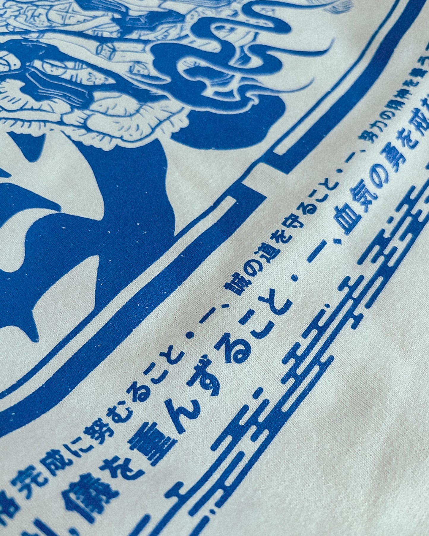 Sōkan Longsleeve, white-blue