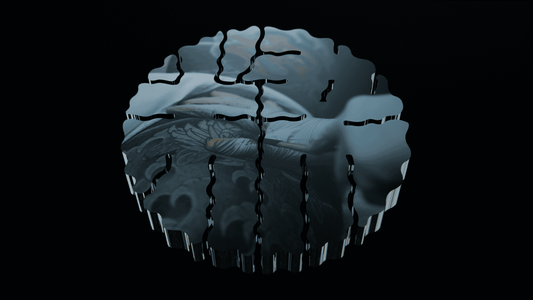 irezumi traditional Japanese tattooing tebori technique horishi master