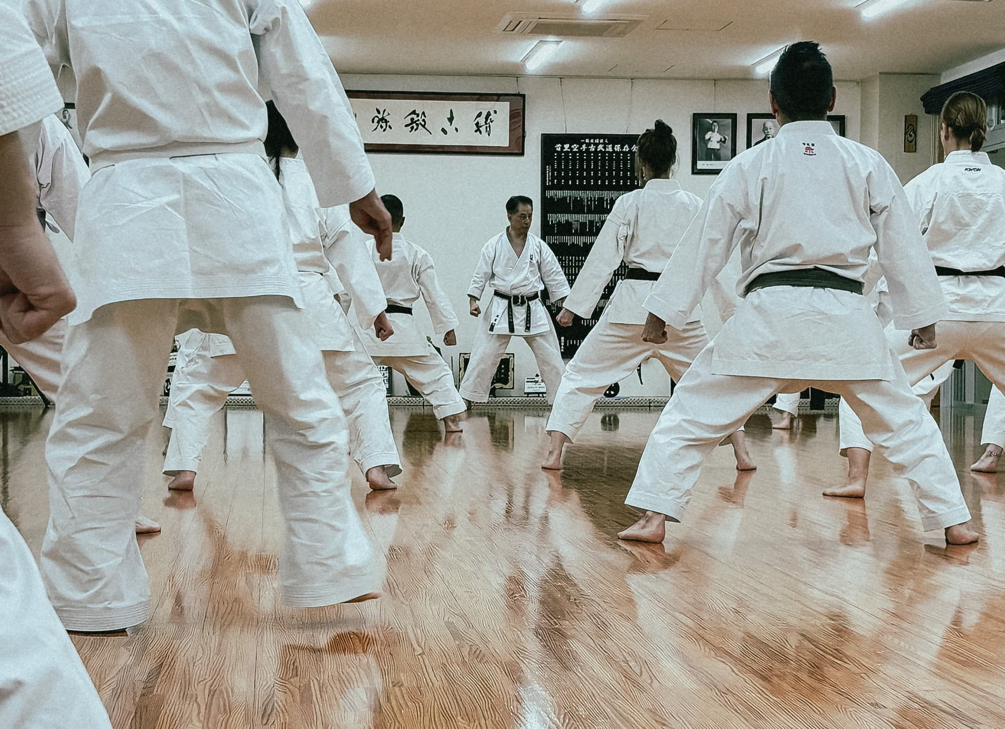Karate Origins on Okinawa Training Impression